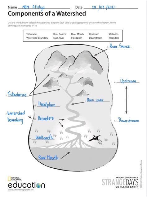 Watershed Labeling Activity Pdf Worksheets Library