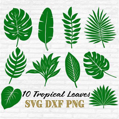 Tropical Leaves Svg Bundle Tropical Leaf Vector Palm Leaf Clipart