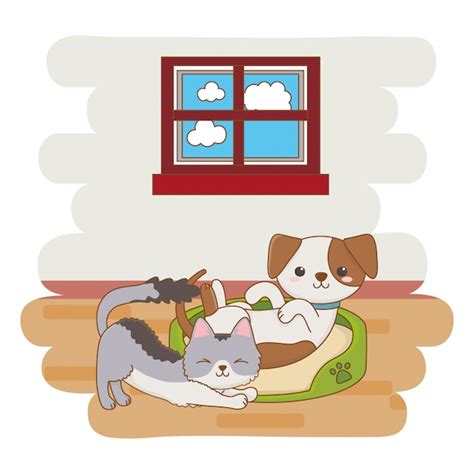 Katzenfreundliches Zuhause Vektoren Und Illustrationen Zum Kostenlosen