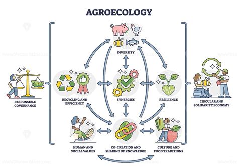 Agroecology As Ecological Agriculture And Responsible Farming Outline