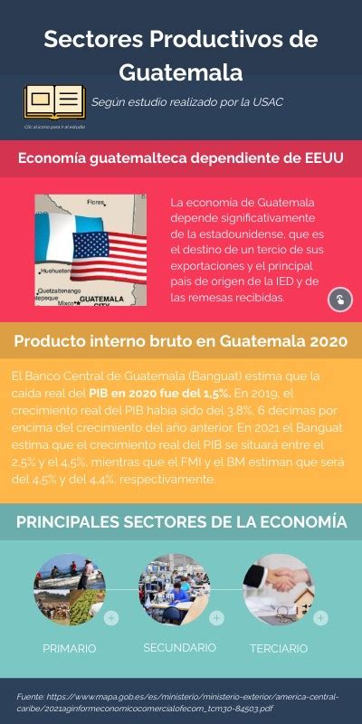 Infografía De Los Sectores Productivos De Guatemala