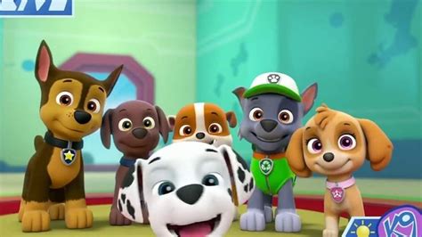 Los Paw Patrol Paw Patrol Pups Pound Puppies Madagascar Skye Chase