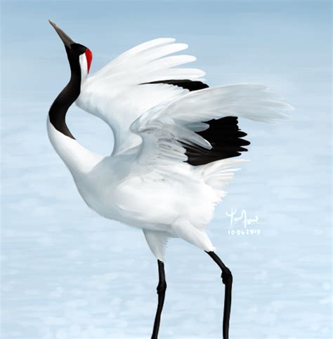 Red-crowned Crane by Circlejourney on DeviantArt