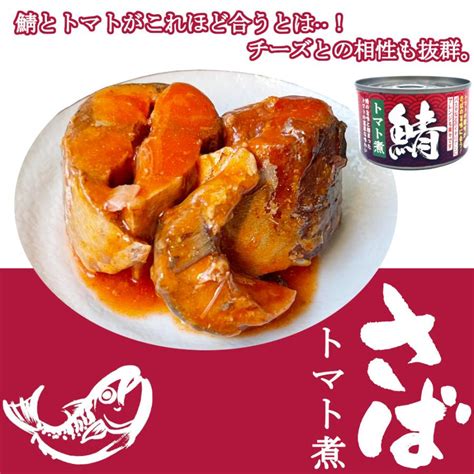 さば缶 トマト煮 150gx48缶 鯖缶 サバ 缶詰 おつまみ アテ 酒の肴 業務用 まとめ買い 送料無料 C0102healthy