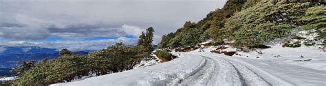 Book Chopta Tour Packages Get Up To 25 OFF IndiaTripio