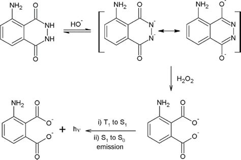 Mechanism of chemiluminescence observed from haemin-catalysed oxidation ...