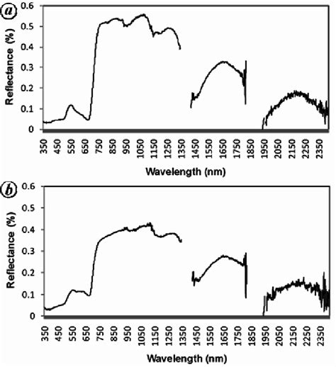 Rice Canopy Reflectance Spectra Collected Around Solar Noon At A