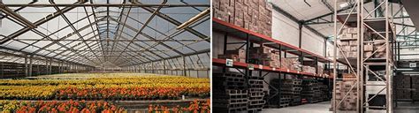 Trends in the retail and floriculture sector - TrackOnline