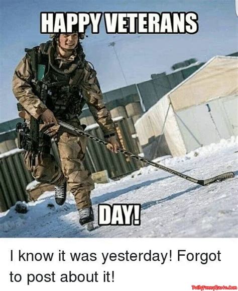 30 Veterans Day Memes – DailyFunnyQuote