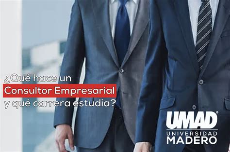 Qué hace un Consultor Empresarial y qué carrera estudia Universidad