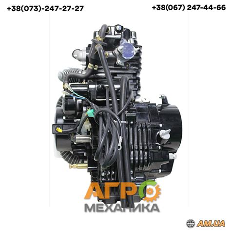 Двигатель 300cc для грузового мотоцикла с водяным охлаждением 174MN ...