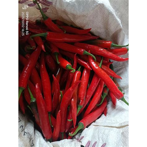 Jual Cabe Teropong Cabai Merah Besar Fresh Kg Shopee Indonesia