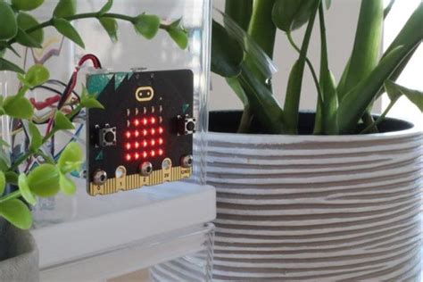 Automatic Plant Watering System Using A Micro Bit