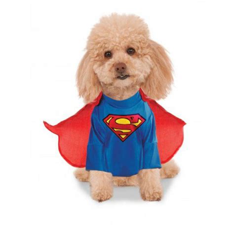 Superman Dog Halloween Costume By Rubies Baxterboo