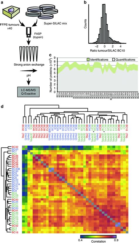 Super Silac Based Quantitative Proteomics Of Breast Cancer Clinical