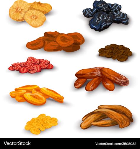 Dried Fruit Icons Set Royalty Free Vector Image