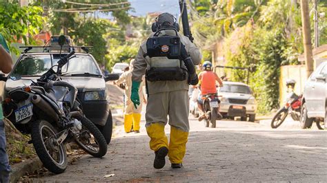 Agentes Da Secretaria De Sa De De Ilhabela J Vistoriaram Mais De