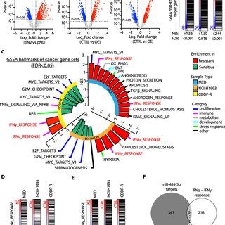 Mirna Expression Profiling Of Lnmets Collected By Ebus Tbna A Strategy