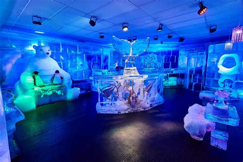 ICEBAR Orlando | Orlando, FL | 31734