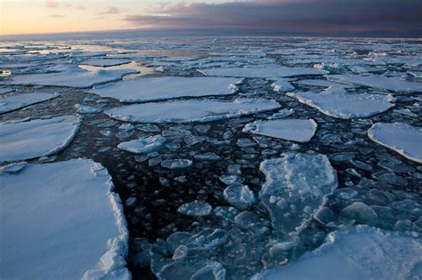 Arctic Heavy Fuel Oil Ban Media Coverage, June/July 2024 - Clean Arctic ...
