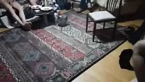 Group Sex Porn Videos 174 XHamster