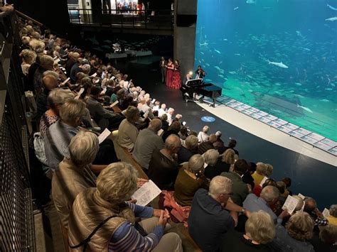 F Rste Flotte Dag Med Hirtshals Operafestival Fornemt Rundet Af P