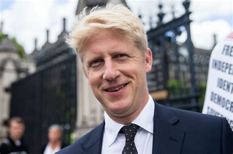 Boris Johnsons Brother Resigns From Parliament In Latest Defeat