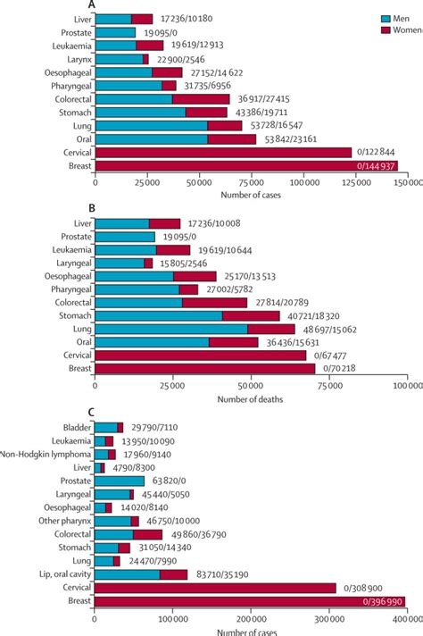 The Growing Burden Of Cancer In India Epidemiology And Social Context