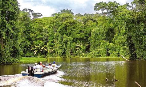 Cómo Visitar El Parque Nacional De Tortuguero En Costa Rica