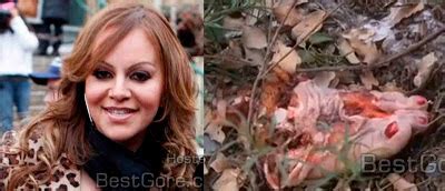 Restos De Jenni Rivera Imagenes Fuertes De El Accidente Aereo Jenni