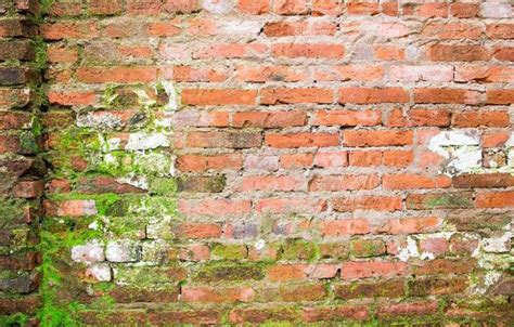 Brick Texture Stock Photos, Images and Backgrounds for Free Download