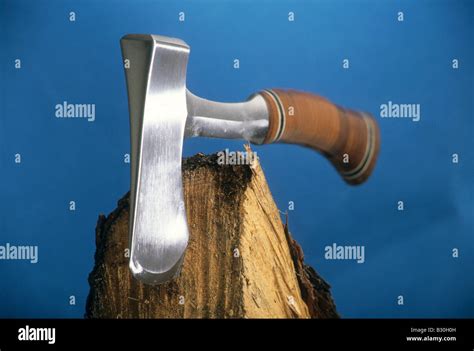 Hatchet In Piece Of Wood From Tree Stock Photo Alamy