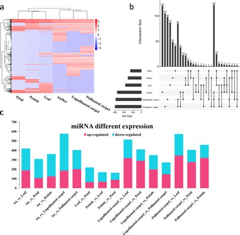 Integrative Expression Network Analysis Of Microrna And Gene Isoforms In Sacred Lotus Springerlink