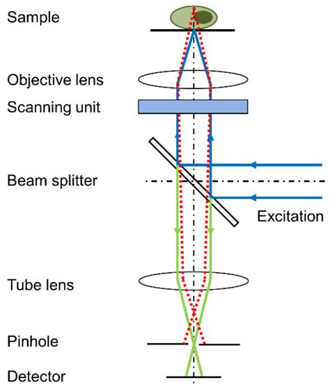 Applied Sciences Free Full Text Laser Scanning Versus Wide Field