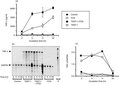 Kinetics Of Pbmc Stimulation With Tsst 1 And Serum Human Pbmc Were