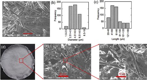 Surface Morphology Of Mcc And Pva Mcca Composite Films Sem Image Of