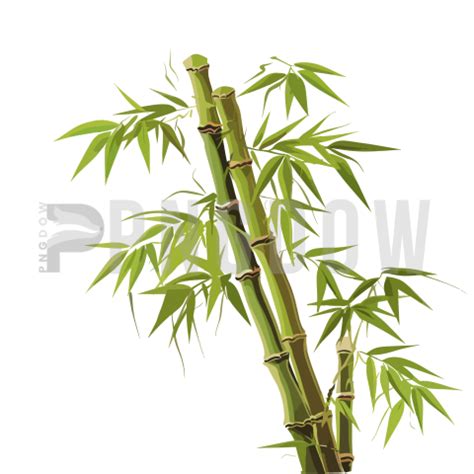 Tags - nezuko bamboo png - Pngdow - Free and Premium Stock Photos