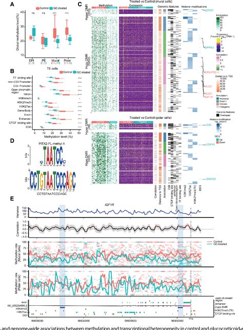 Figure 3 From Single Cell Multi Omics Of Human Preimplantation Embryos