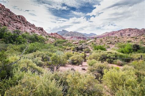 Beautiful View of the Red Rock National Park in Nevada, USA Stock Image ...