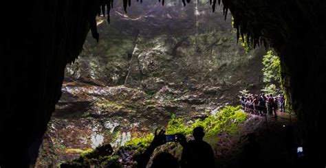 San Juan: Camuy Caves Experience Tour + transportation | GetYourGuide