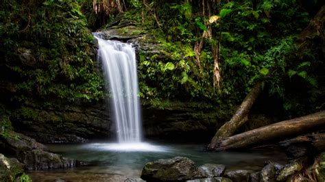 Waterfall Is Pouring On Lake Between Green Trees Bushes Forest