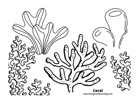 Ecosystems Coloring Pages - Coloring Home