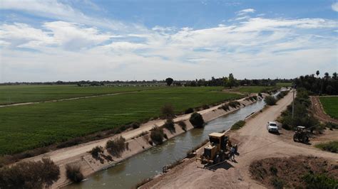 En Riesgo Cultivos En Valle Del Yaqui Medios Obson