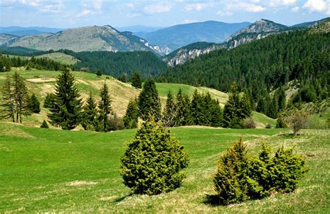 Montañas Ródope Bulgaria Rutas De Senderismo Y Trekking Guiado Y