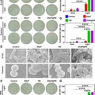 Antibacterial Activity Of Hydrogels And Pb Nanozymes A And C