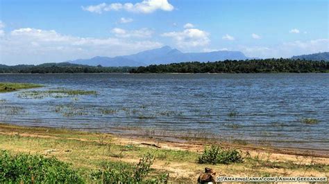 Bathalagoda Wewa Reservoir In Kurunegala