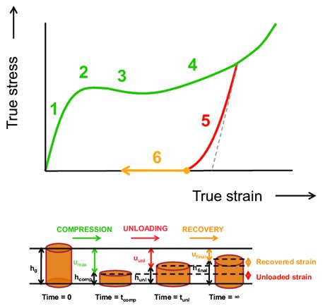 1 Schematic Representation Of The Intrinsic Stress Strain Behavior Of