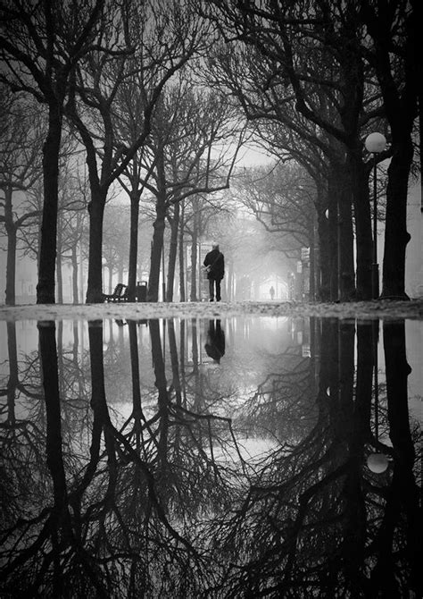 Reflection Perfection 60 Photos That Show You How It S Done Artofit