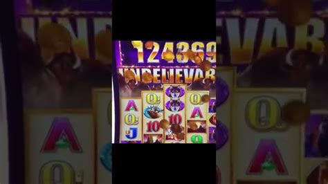 Amazing Huge Slot Win Buffalo Diamond Youtube