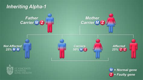 Alpha -1 Antitrypsin Deficiency - St Vincent's Lung Health